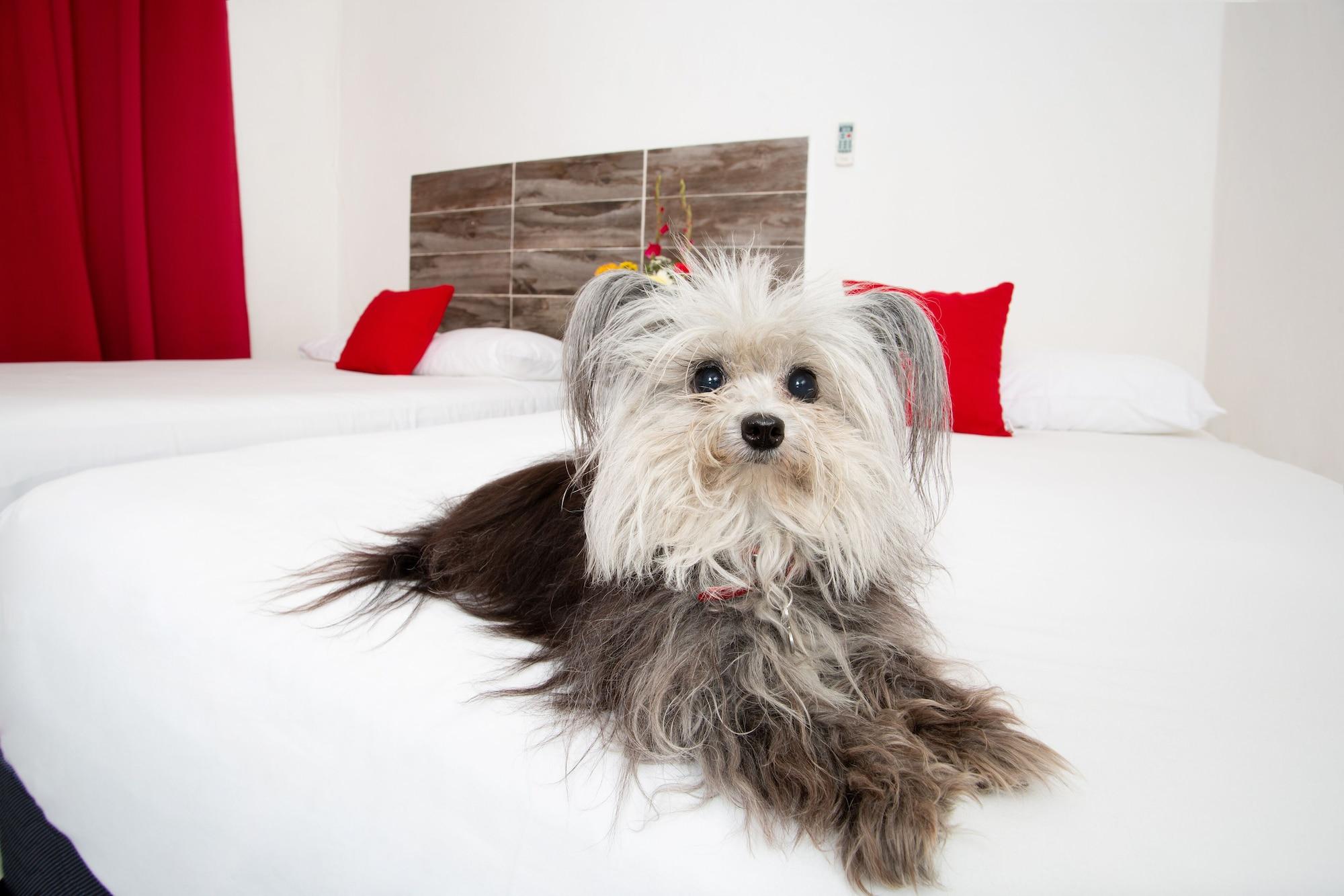 Suite 24 Aparthotel By Xperience Hotels Плая дел Кармен Екстериор снимка